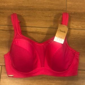 High Impact Sports Bra NWT